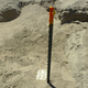 Image for article titled The Coldest Case: Using DNA to Identify Century-Old Remains